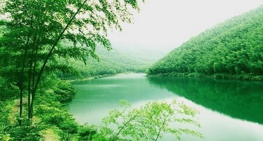 尊敬的游客朋友: 您好!感谢您参加我们连云港趣普仕旅行社线路。为了更好的保护您的合法权益,愉快的完成旅游行程,务必请您在报名时仔细阅读此须知。 1、游客报名时请如实填写相关信息,如有疑问请咨询报名旅行社。出游当天必须按所规定的时间、地点乘车。请提供有效出行电话,以便导游出团前一天再次通知客人出行事宜。 2、 我社规定不占座的儿童标准为0.